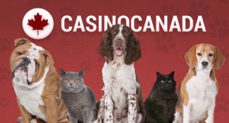 Casino España Visits Animal Shelter